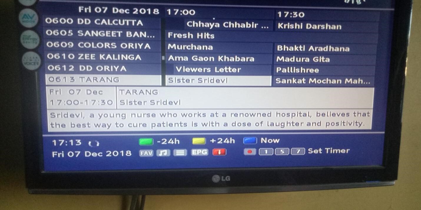 TV show synopsis writer